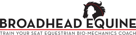 Broadhead Equine